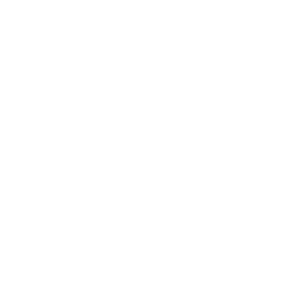 case_article