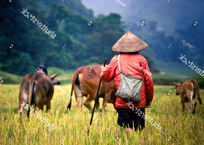 cambodia_location_img1