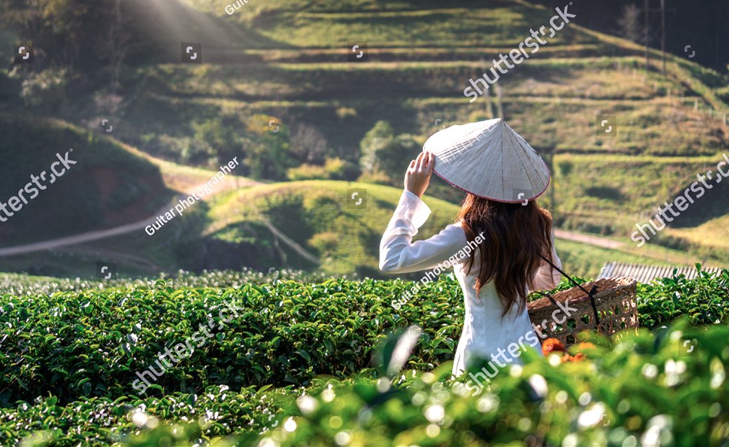 vietnam_weather